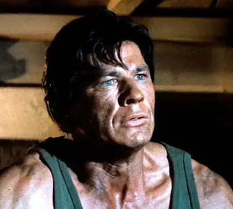 Charles Bronson como Wally Floody